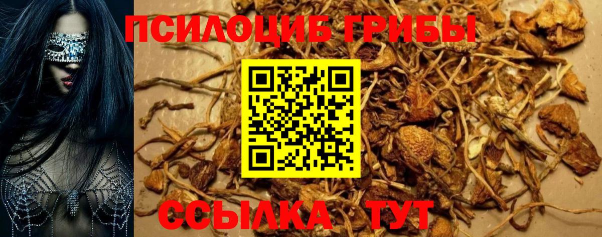 Нефтекамск  Псилоцибиновые грибы Psilocybe  Псилоцибиновые грибы Magic Shrooms  Вход с VPN 