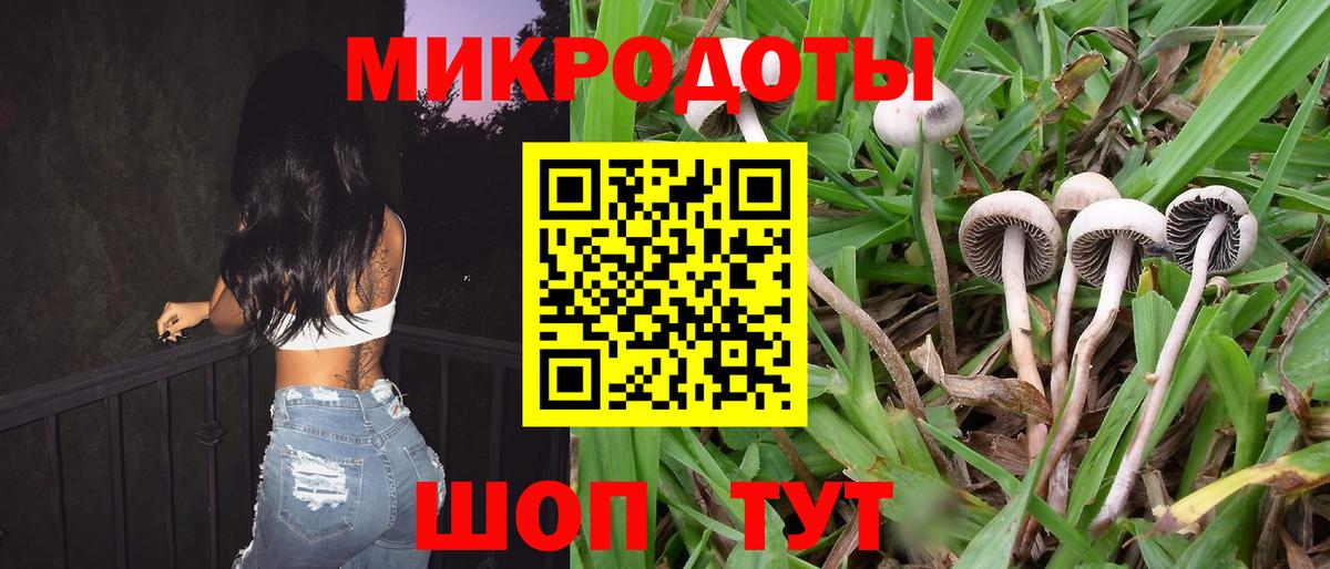Галлюциногенные грибы Psilocybe Нефтекамск